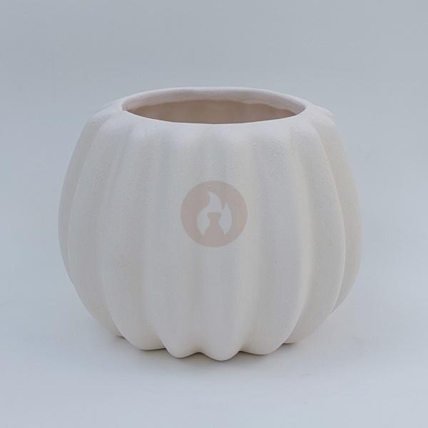 Maceta Calabaza en Bizcocho