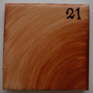 Pigmento sobre cubierta SC – 21 (Marrón Claro)