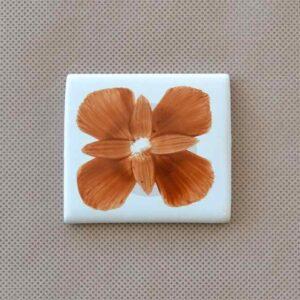 Pigmento sobre cubierta SC – 21 (Marrón Claro)