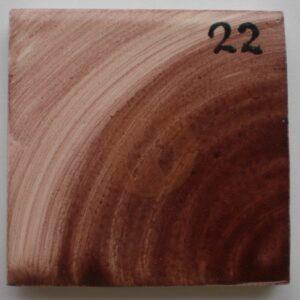 Pigmento sobre cubierta SC – 22 ( Marrón Oscuro)